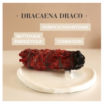 Natura Square Sang du Dragon et Sauge Blanche Apiana de Californie Fagot