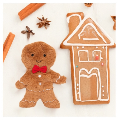 Plic Care Peluche Chaud et Froid Pain d'Épice