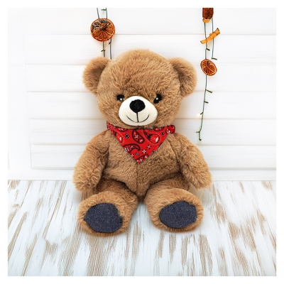 Plic Care Peluche Chaud et Froid Ourson