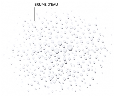 Institut Esthederm Eau Cellulaire Brume Jeunesse Cellulaire 200 ml