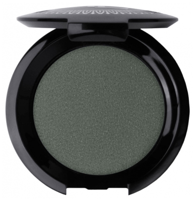 T.Leclerc Ombre à Paupières Irisée Intense 2,5 g