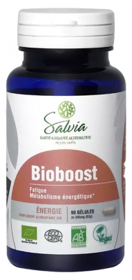 Salvia Nutrition Énergie Bioboost Bio 90 Unités