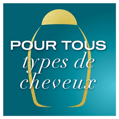 Ogx Shampoing Huile Argan du Maroc Cheveux Secs et Abîmés 385 ml