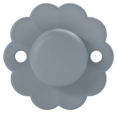 Suavinex Sucette Réversible SX Pro 6-18 Mois - Modèle : Bleu
