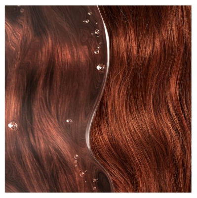 Phyto Couleur Shampoing Anti-Dégorgement Cheveux Colorés Méchés Éco-Recharge 750 ml
