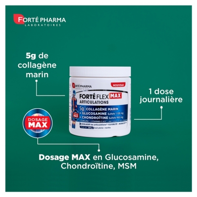 Forté Pharma Forté Flex Max Articulations Collagène Marin 260 g