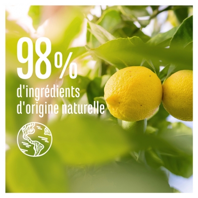 Le Petit Marseillais Shampoing Purifiant Ortie et Citron 300 ML