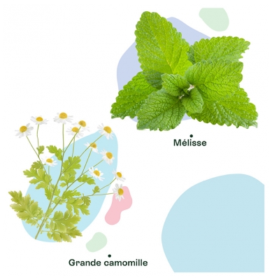 Naturactive Maux de Tête Flash Bio 14 Unités