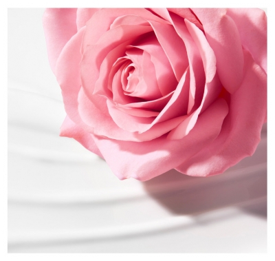 Nuxe Very rose Lait Démaquillant Onctueux Toutes Peaux 200 ml