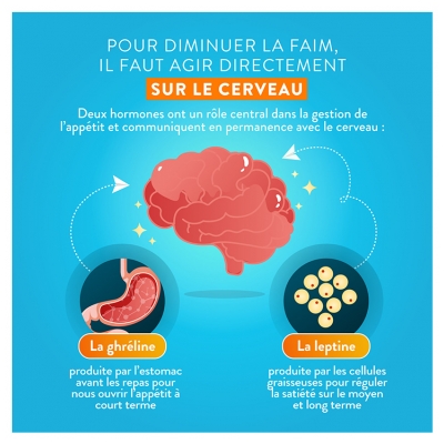 Nutri&Co Coupe-Faim Minceur et Satiété 60 Gélules