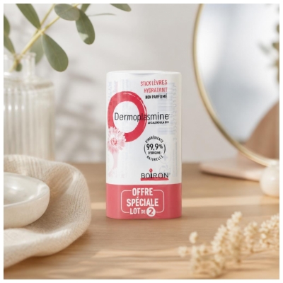 Boiron Dermoplasmine Stick Lèvres au Calendula Lot de 2 x 4 g