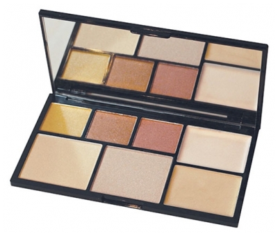 Parisax Pro Palette Highlighter