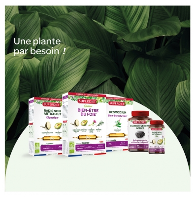 Superdiet Artichaut Bio - 20 Ampoules de 10 ml