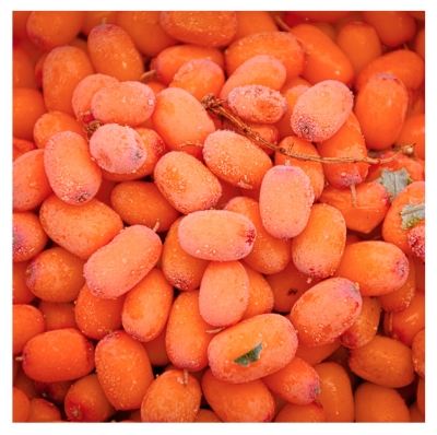 Oblepikha Sels de Bain Anti-Stress 600 gr