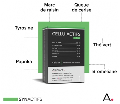 Synactifs Celluactifs - Marc de Raisin Queue de Cerise Thé Vert l-Tyrosine - 60 Gélules