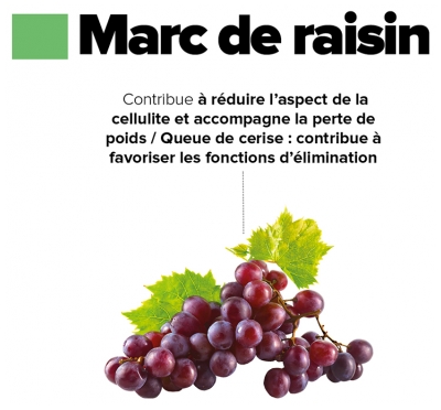 Synactifs Celluactifs - Marc de Raisin Queue de Cerise Thé Vert l-Tyrosine - 60 Gélules