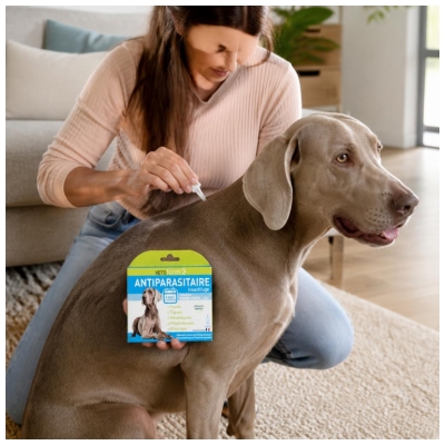 Vetoform Antiparasitaire Insectifuge Grand Chien 3 Unités