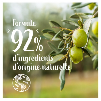 Le Petit Marseillais Gel Lavant Mains Pur Savon & Huile d'Olive Eco Recharge 500 ML