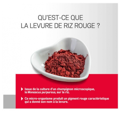 Arterin Levure de Riz Rouge 90 Unités