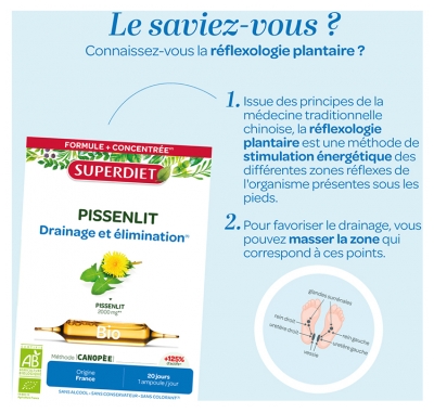 Superdiet Pissenlit Bio - 20 Ampoules de 15 ml