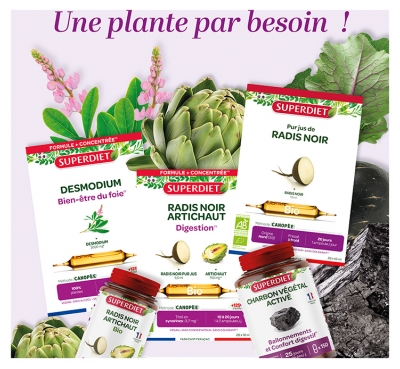 Superdiet Aubier de Tilleul Bio 20 Ampoules de 10 ml