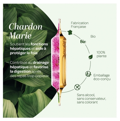 Superdiet Chardon Marie Bio - 20 Ampoules de 10 ml