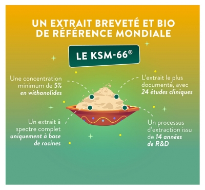 Nutri&Co Ashwagandha Bio Ksm-66® Stress Sommeil & Musculation 120 Gélules