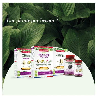 Superdiet Desmodium - 20 Ampoules de 15 ml