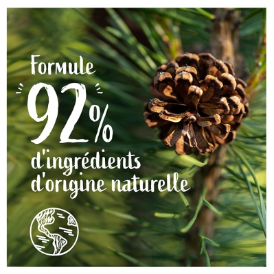 Le Petit Marseillais Gel Douche Rafraîchissant 4 en 1 Pin Maritime et Eucalyptus Éco Recharge 500 ML