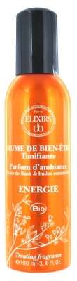 Elixirs & Co Brume de Bien-Être Énergie - Vapo 100 ml