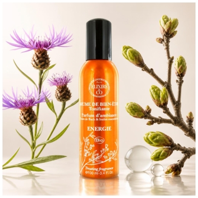 Elixirs & Co Brume de Bien-Être Énergie - Vapo 100 ml