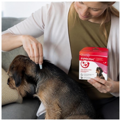 Beaphar Fiprotec 67 mg Solution Spot-On Petit Chien 2 à 10 kg Puces et Tiques 4 Pipettes
