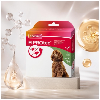 Beaphar Fiprotec 268 mgSolution Grands Chiens 20 à 40 kg 4 Pipettes