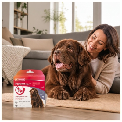 Beaphar Fiprotec 402 mg Solution Spot-On Chiens Grande Taille 40 à 60 kg 4 Pipettes
