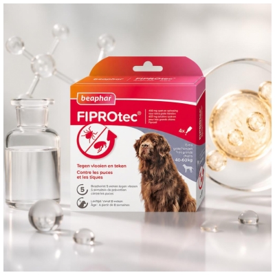 Beaphar Fiprotec 402 mg Solution Spot-On Chiens Grande Taille 40 à 60 kg 4 Pipettes