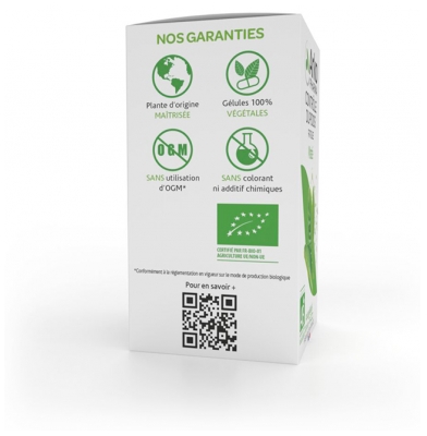 Arkopharma Arkogélules Maté Bio 60 Unités