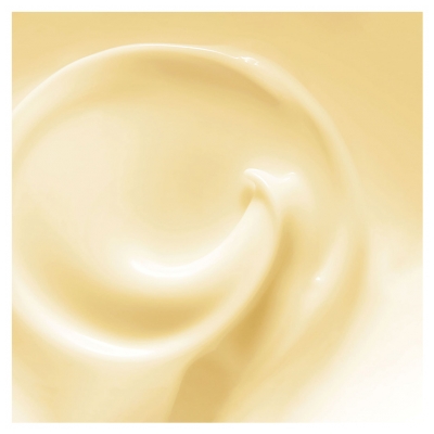 Revlon Professional Orofluido Masque Argan Lumière 250 ml
