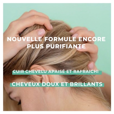 Energie Fruit Shampooing Clean Detox Racines Grasses & Pointes Sèches 250 ml