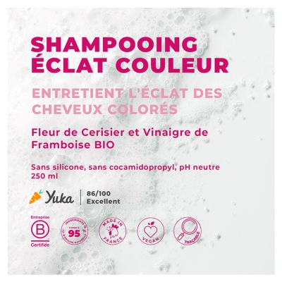 Énergie Fruit Shampoing Protection Couleur Vinaigre de Framboise Bio Cheveux Colorés et Méchés 250 ml