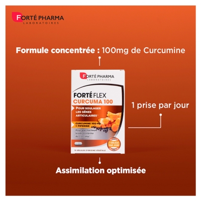Forté Pharma Forte Flex Articulations - Articulations, Cartilages, Os, Muscles, Tendons - 90 Gélules
