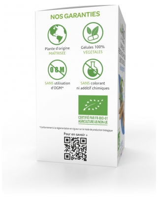 Arkopharma Arkogélules Ashwagandha Surmenage Bio 120 Gélules