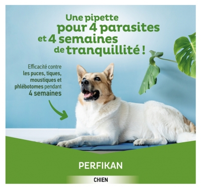 Clément Thékan Ti-Puces Anti-Tiques Chien 4-10Kg 4 Pipettes