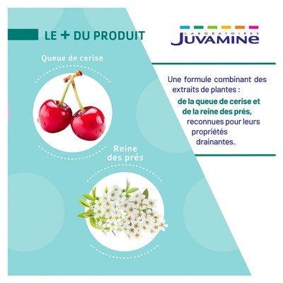 Juvamine Queue de Cerise Reine des Prés 50 Unités