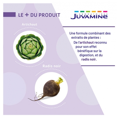 Juvamine Artichaut Radis Noir 50 Unités