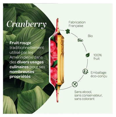 Superdiet Cranberry Bio 20 Unités
