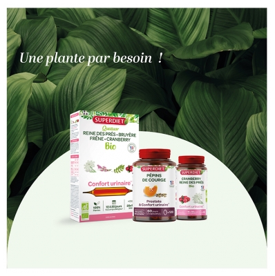 Superdiet Cranberry Bio 20 Unités