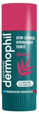 Dermophil Indien Soin Protection Lèvres Teinté 4 g - Teinte : Prunelle