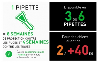 Frontline Combo Pour Chien de 2 à 10 kg 6 Pipettes