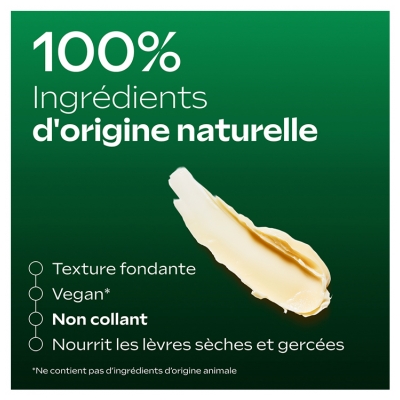 Weleda Skin Food Stick Lèvres 4,8 Grammes