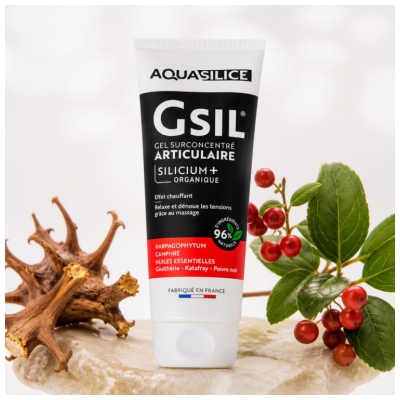 Aquasilice GSA Pocket Gel Sur Concentré Articulaire 50 ML